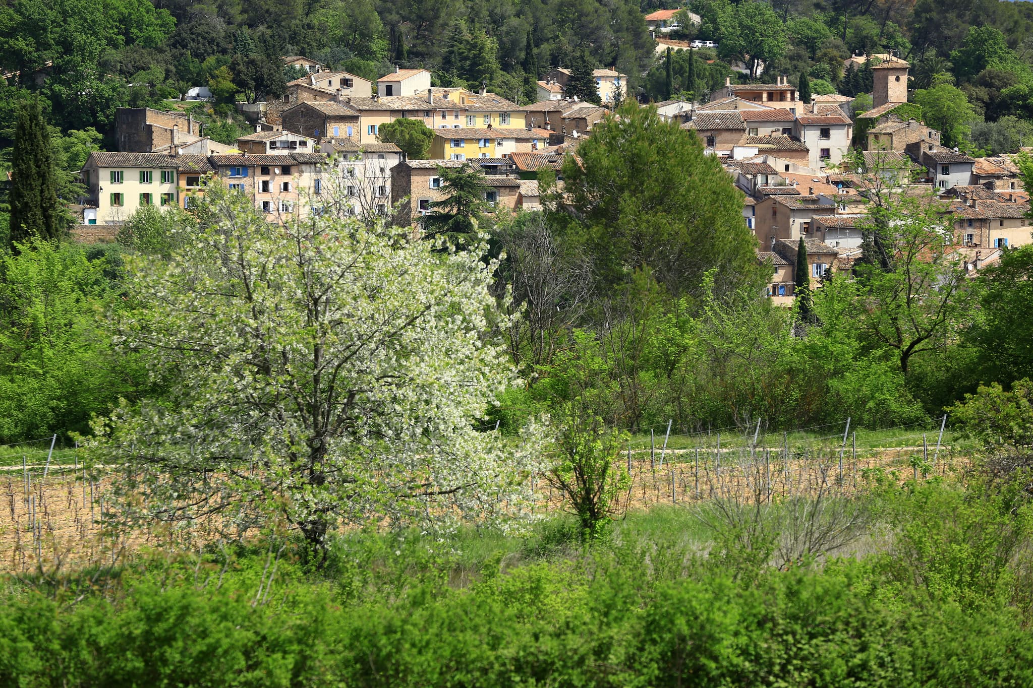 La Motte — le village provençal dominant son terroir de vignes et vergers