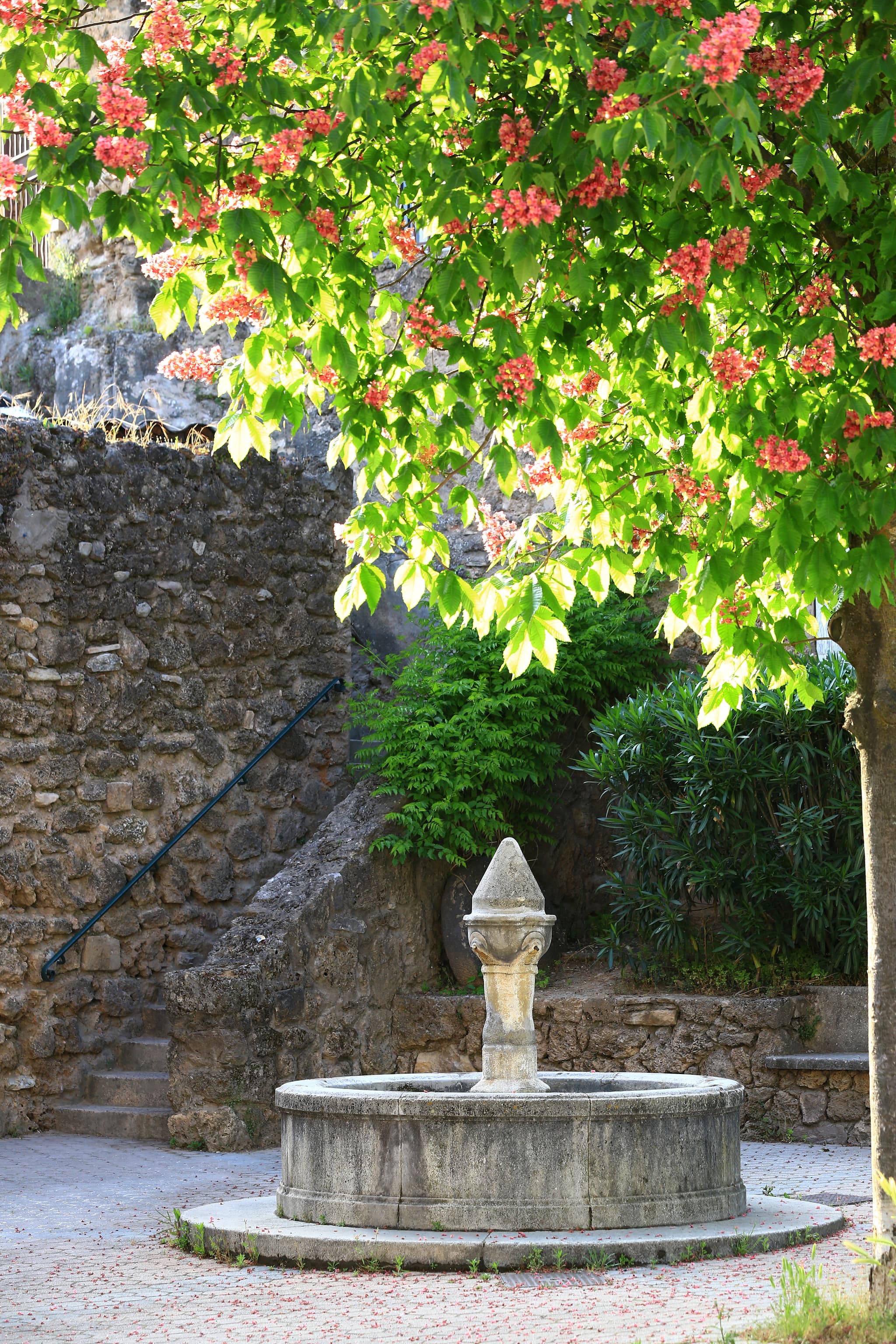 La Motte — fontaine provençale et marronnier en fleurs au cœur du village